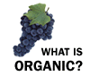 What is Organic?